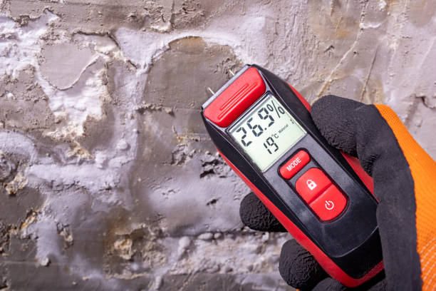 Best Mold Remediation  in Pompton Plains, NJ