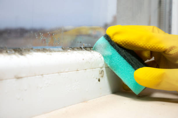 Home Mold Removal in Pompton Plains, NJ