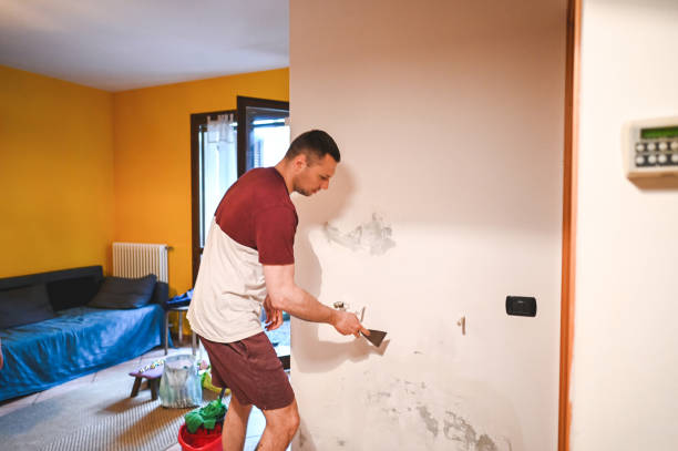 Best Commercial Mold Removal  in Pompton Plains, NJ
